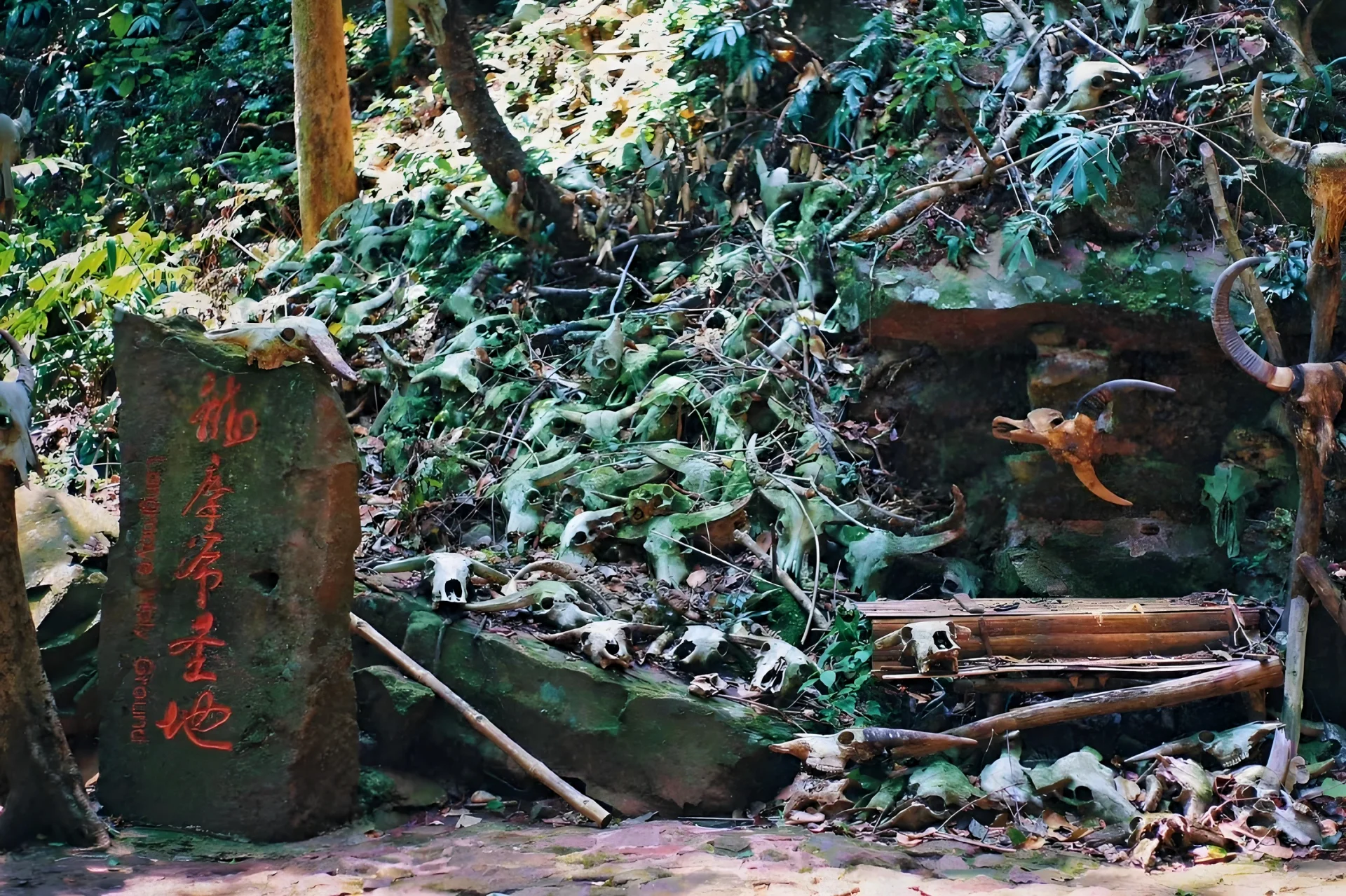 Experience highlight 11