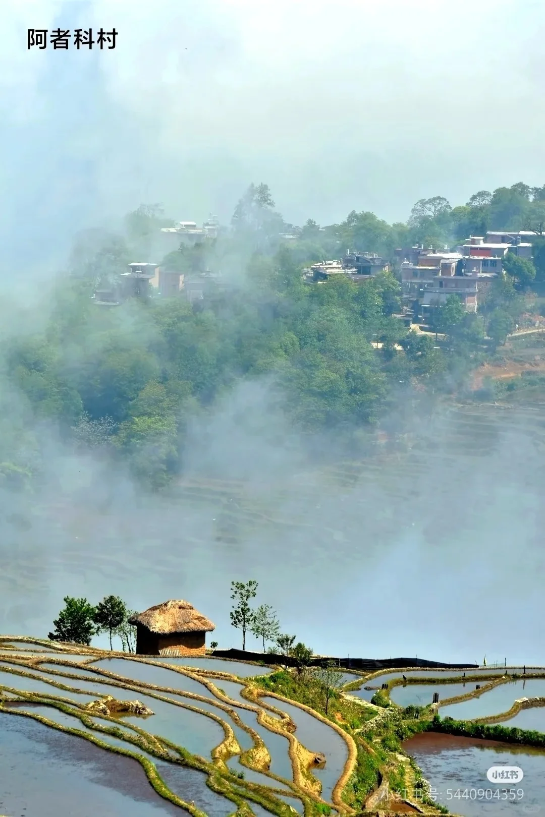 Custom content image 2 for Why Southern Yunnan?