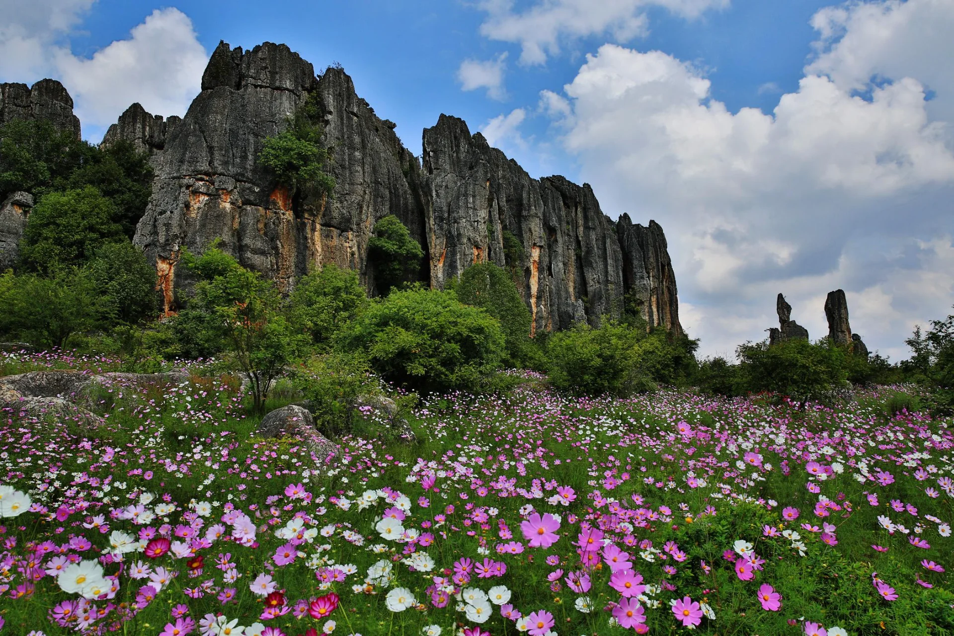 Stone Forest in Yunnan with towering grey limestone pillars rising against a blue sky creating a natural maze