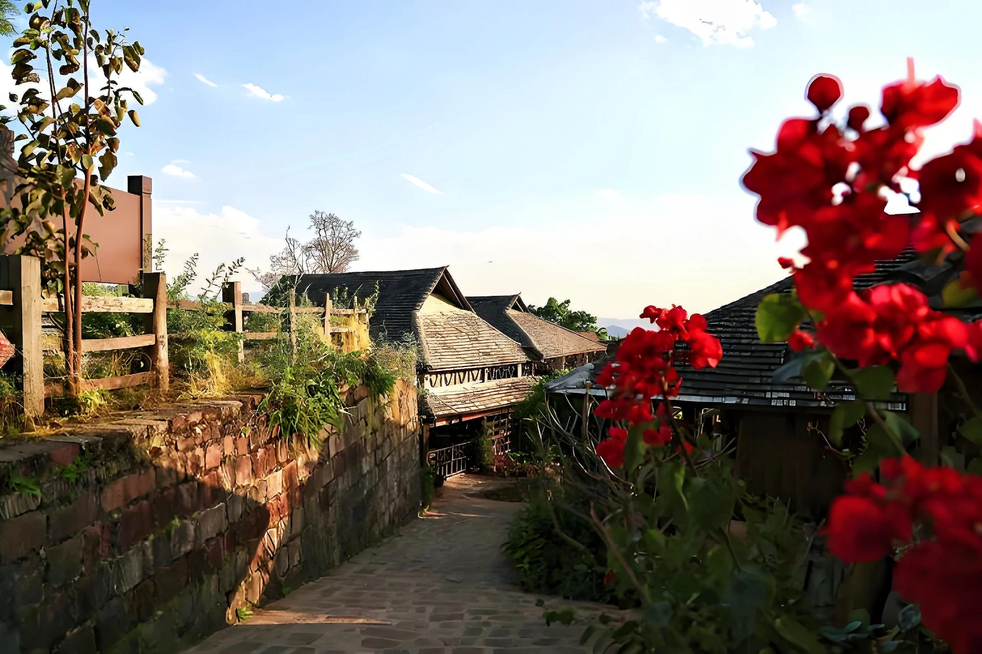 Experience highlight 8