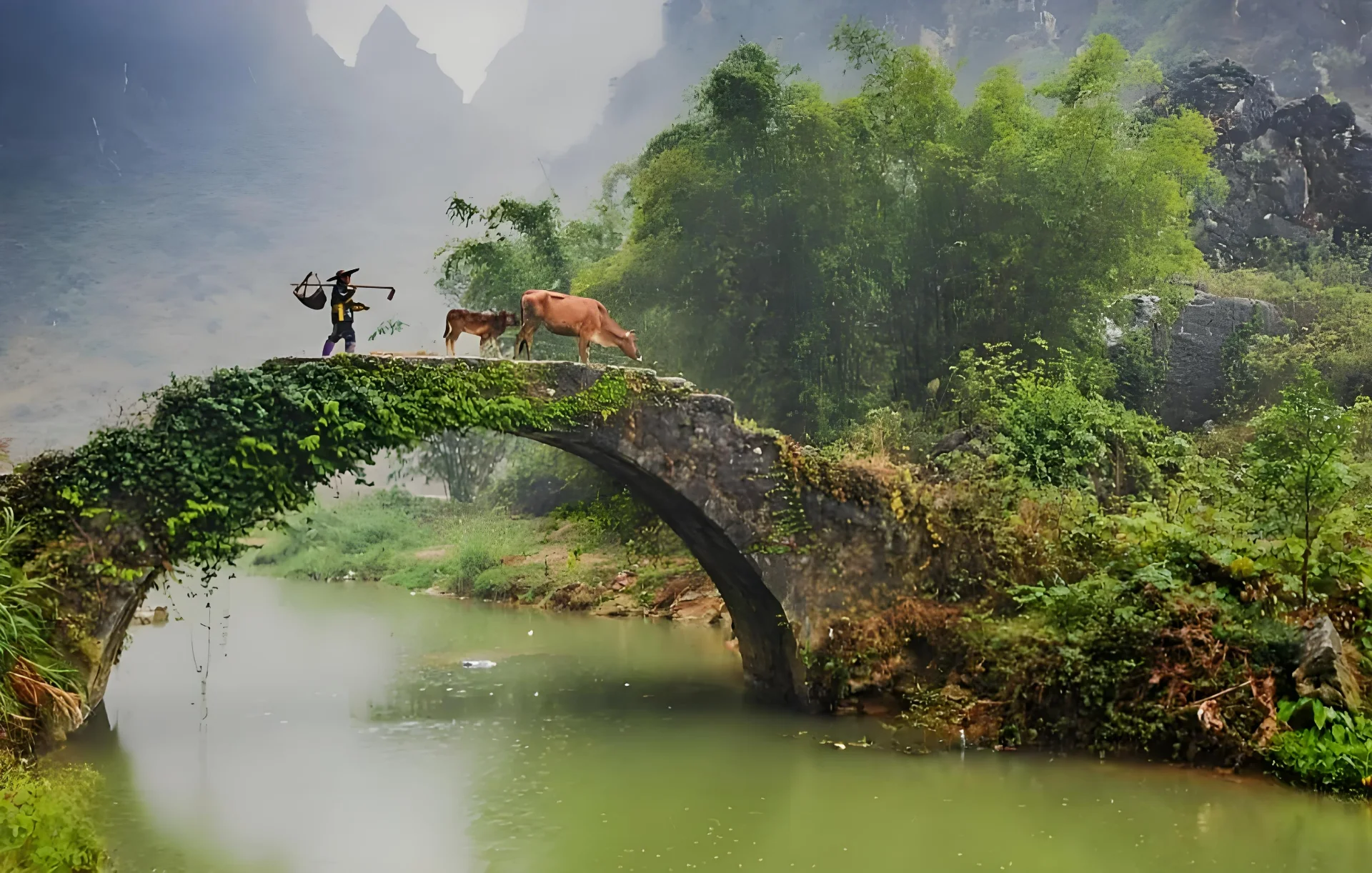 Experience highlight 3