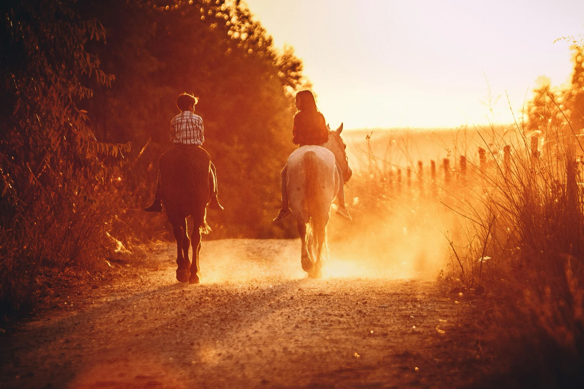 Wild Horse Adventure