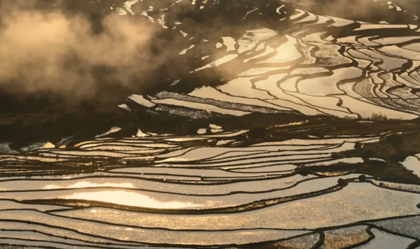 Day 1: Ancient Stones, Tropical Tastes & Terraced Sunsets - image 3