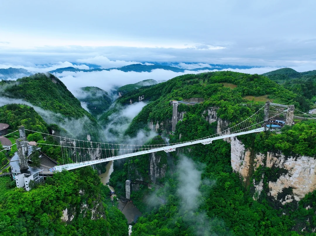 Zhangjiajie Grand Canyon Glass Bridge spanning 430 meters between cliffs with tourists walking on the transparent glass floor