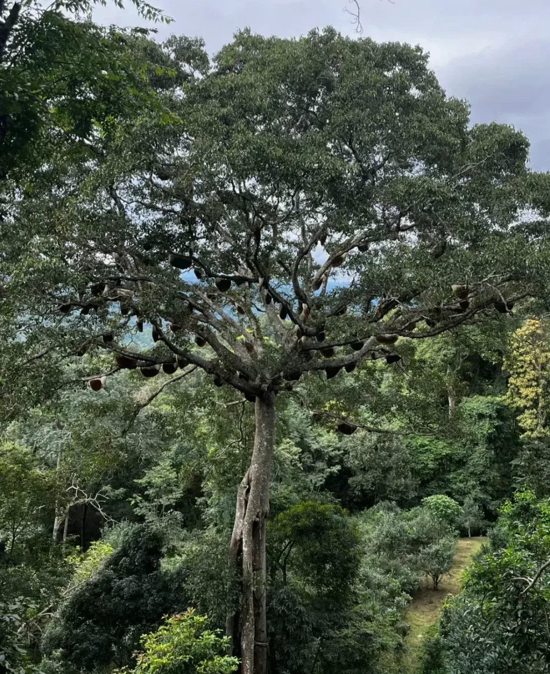 Experience highlight 3