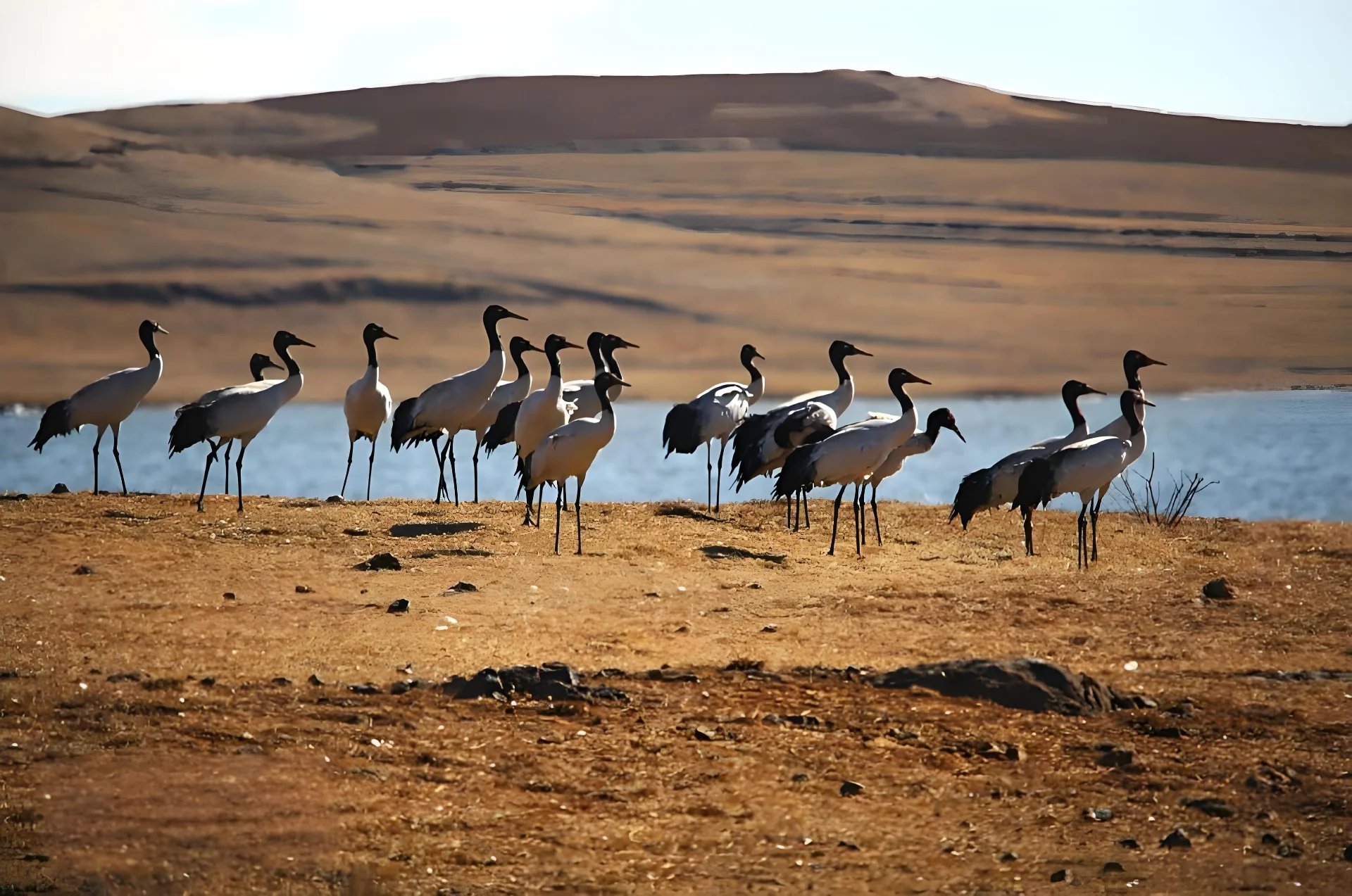 Experience highlight 3