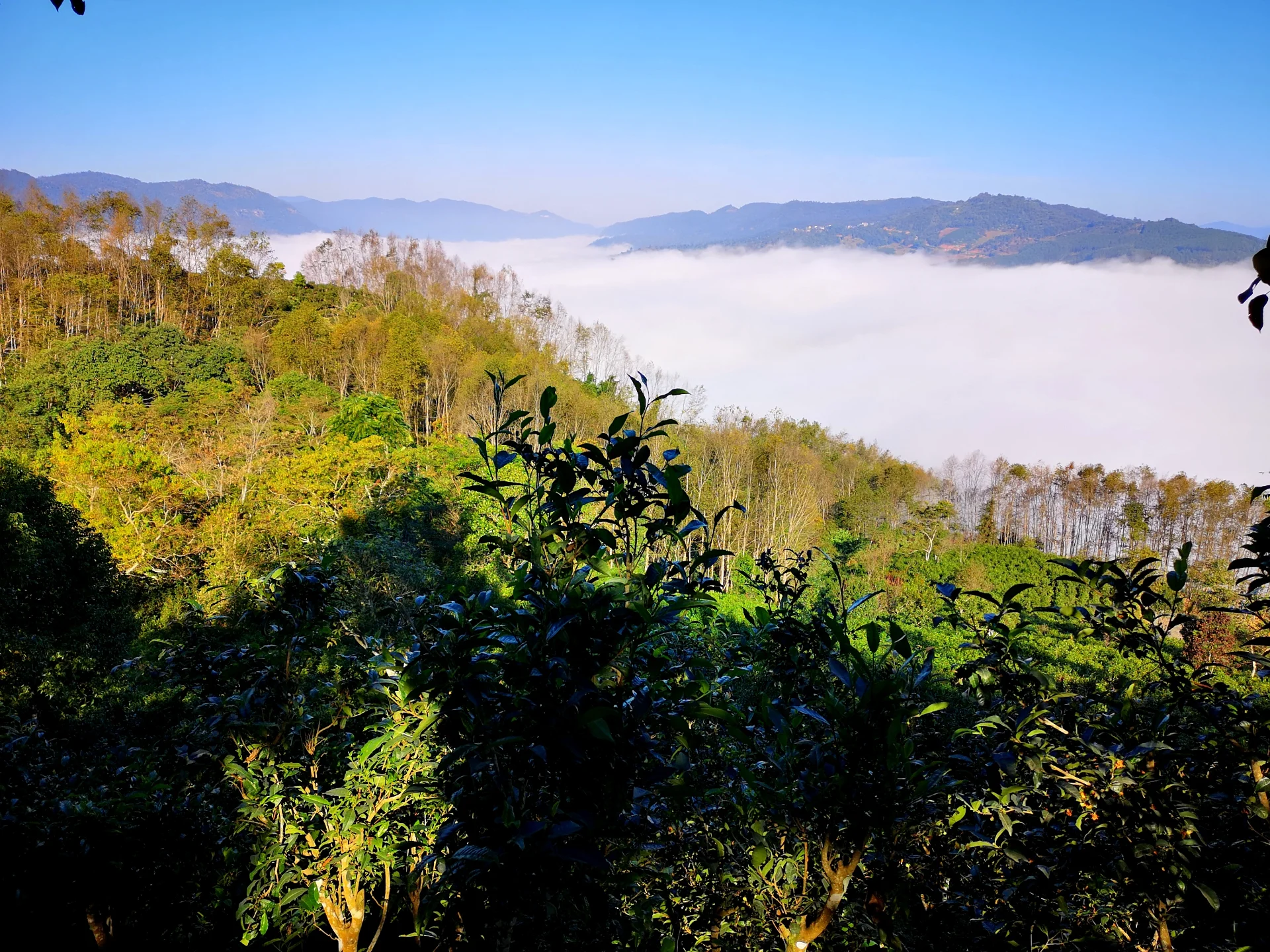 Experience highlight 6