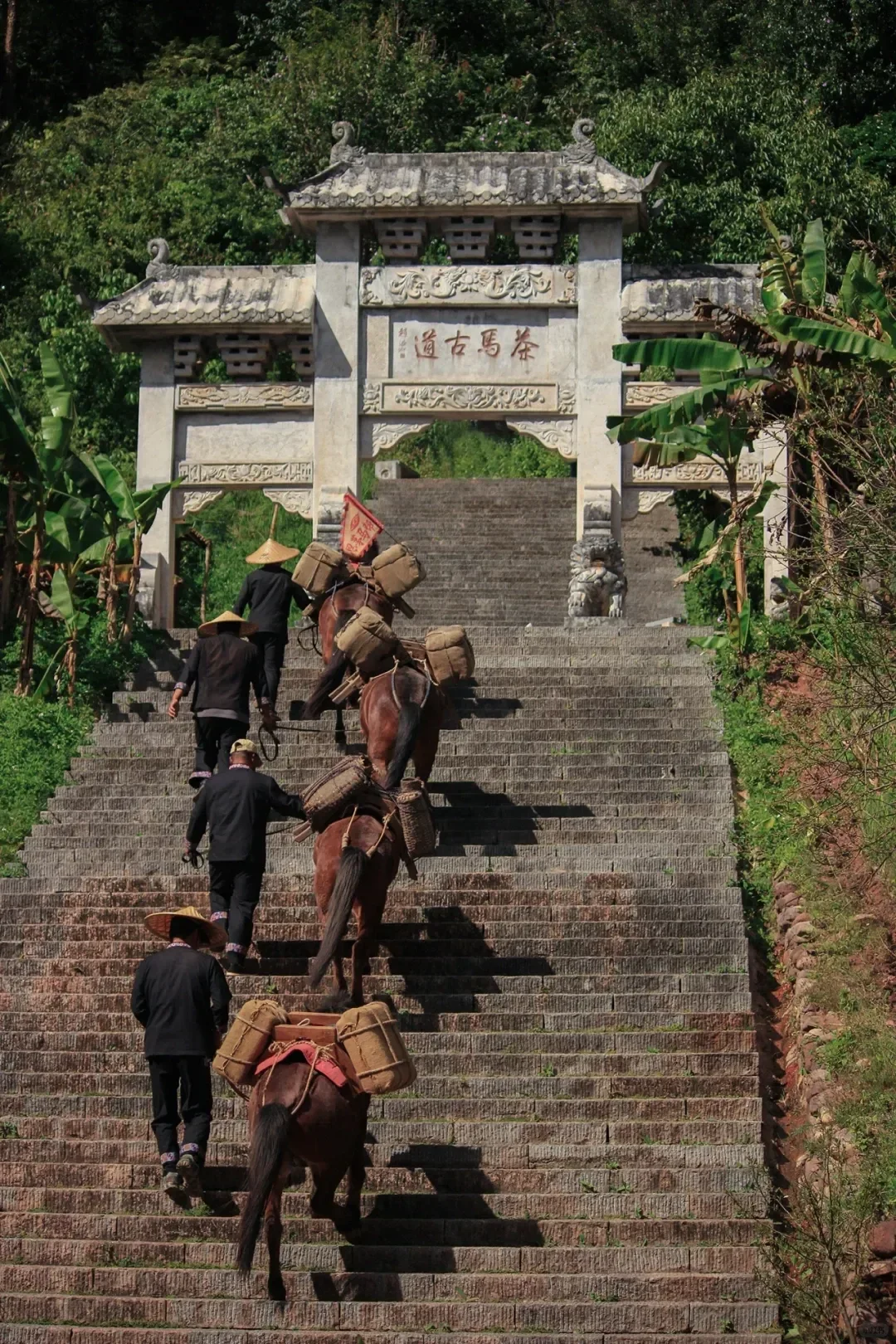 Experience highlight 4